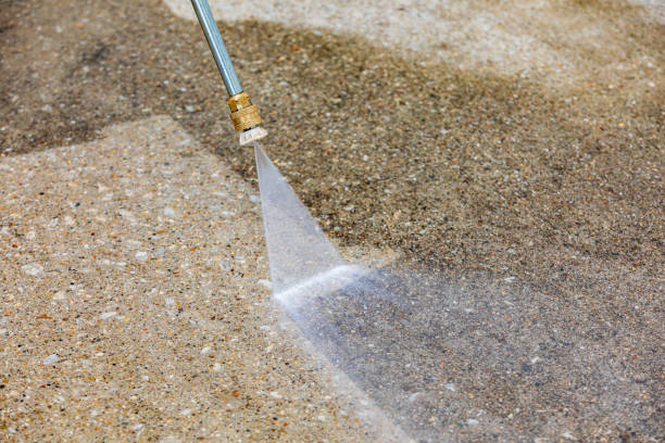 Animal Enclosure Cleaning in Wesley Hills, NY